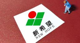 接棒新希望十年，刘畅正在成为下一个刘永好？