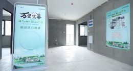 三翼鸟，这次发布很“毛坯”