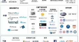 Neuralink估值355亿，脑机接口没有第二个“马斯克”