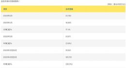 友达光电5月合并营收新台币218亿元 与去年同期相比下降0.8%