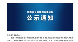 杭州亚运会电竞项目国家队完整名单公布 共31名选手