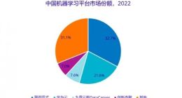 IDC 2022年中国机器学习开发平台市场TOP3：第四范式、华为云、九章云极