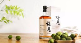 文艺青年陶石泉：微醺生意究竟是卖酒还是卖情绪价值？