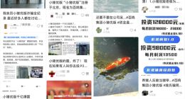 网传又一千亿项目暴雷 上万员工失业 投资人组团维权
