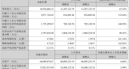每天赚1个亿 宁德时代上半年净利207亿元