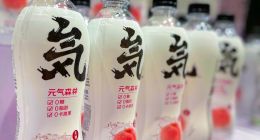 2023：元气森林的渠道“填坑”之战