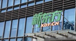 新东方财报的背面：脆弱性与入口经济的博弈