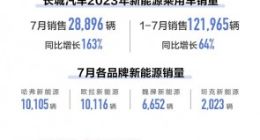 长城汽车7月新能源车销量28896辆，同比大增163%