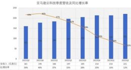 亚马逊云科技Q2营收221亿美元 CEO：生成式AI将带来增长机遇