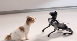 小米发布全新CyberDog 2：更仿生、更智能、更开放