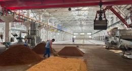 4亿分红的酒鬼酒，拢不住经销商的信心？