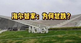 海尔智家：为何总跌？