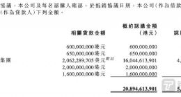 “中东土豪”5亿美元驰援许家印，能否为恒大汽车续命？