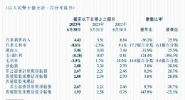 卖车依旧没赚钱！小鹏二季度营收大跌32%，净亏28亿元