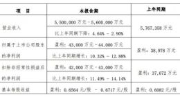 神州数码预计2023年上半年营收同比下降4.64%至2.90%