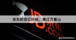 京东的百亿补贴，难过万重山