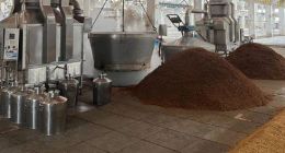 迎驾贡酒困于皖？