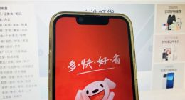 拯救伤兵京东，刘强东这次孤注一掷