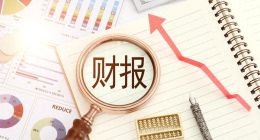 半年报里三只松鼠，正在迎来触底反弹时刻？