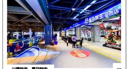 盒马：挑战山姆学习山姆，却又成不了山姆