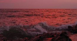 九号公司焦虑的背后是什么