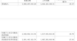 超九成收入靠老家，今世缘走不出江苏