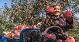 快递已过万重山