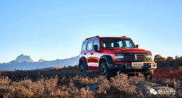 新能源车销量刚“及格”，长城汽车净利锐减