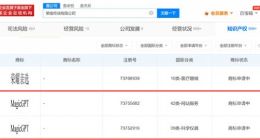 荣耀申请MagicGPT商标
