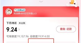 在隐秘的角落，京东养了只吸血“蚂蟥”？