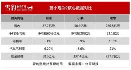 造车“鱿鱼游戏”，蔚小理又闯过了一关