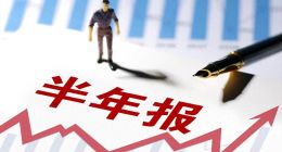 半年报中的老白干酒：有争议，也有想象力