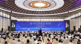 2023世界显示产业大会在成都召开