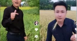“秀才”倒下了，老年人线上社交困境无解