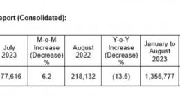 分析师：台积电8月营收增长6.2%，但整体市场疲软依然对该公司前景不利