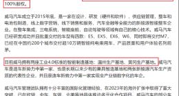 威马借壳失败，沈晖远遁他乡
