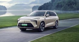 长城汽车，能打“持久战”吗？