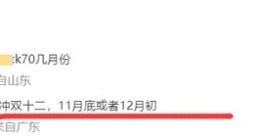Redmi K70系列细节曝光：最早11月亮相 最强旗舰焊门员