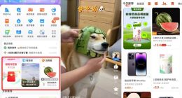支付宝持续加大流量开放：首页新上线三块核心场景“入口”