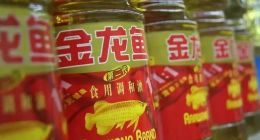 “油茅”跌跌不休，金龙鱼变“草鱼”？