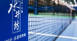 水井坊的“水土不服”远未结束