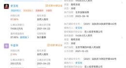 被强执逾17亿 史玉柱又出事了？巨人网络回应