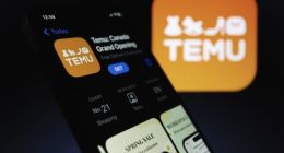 割卖家、亏自己，拼多多跨境平台Temu便宜了谁？