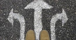 业绩向好，经销商却减少，汤臣倍健“稳健”吗？