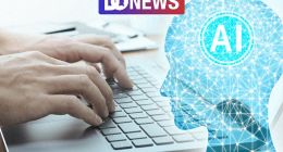 “独角兽”第四范式：大模型也解不开盈利困局