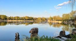 背靠拼多多的极兔，缘何后劲不足？