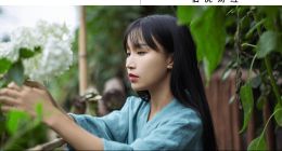 关于李子柒复出，我有两个问题