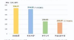 运动品牌如何做到“全都要”？来看看安踏的答案