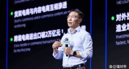 阿里新晋合伙人万霖首战，菜鸟IPO还需飞跃高山