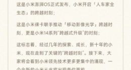 雷军：经过几年的探索 小米走到了关键的“跨越时刻”